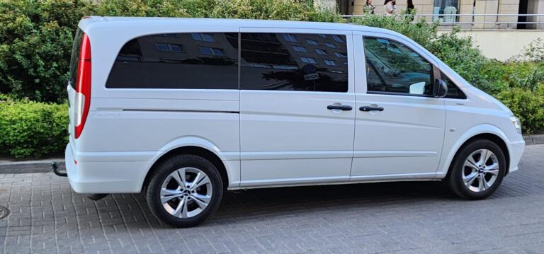 שי דובר עברית, מארגן טיולים בפולין